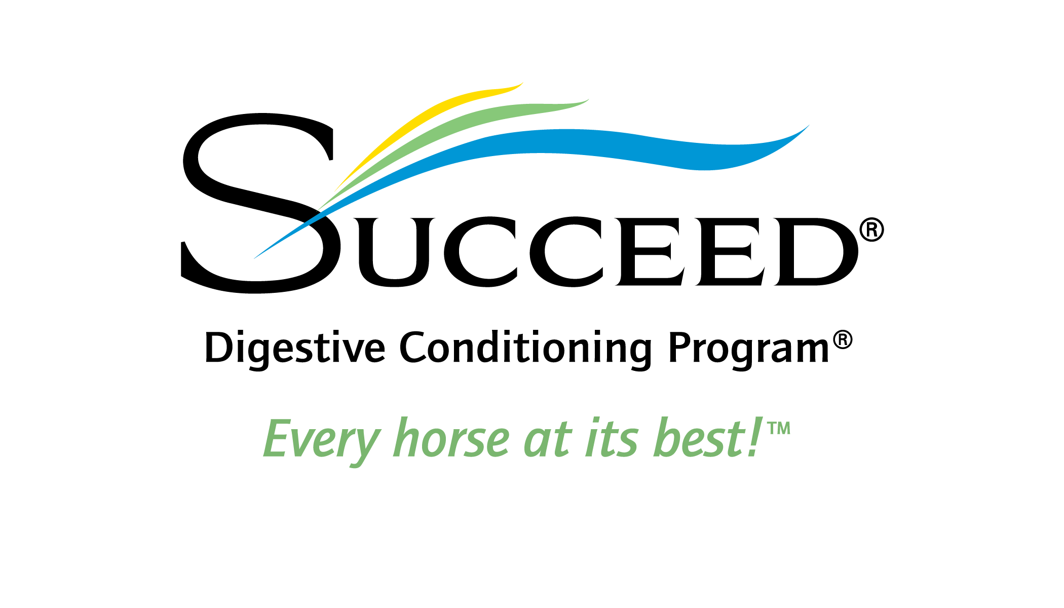 succeed logo